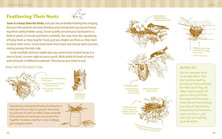 Produktbild: The Nature Connection