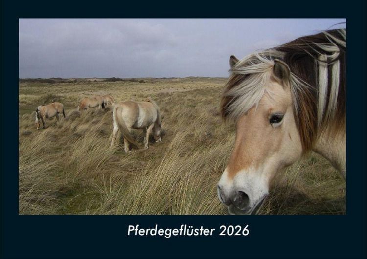Produktbild: Pferdegefl&uuml;ster 2026 Fotokalender DIN A4