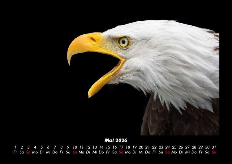 Produktbild: Adler 2026 Fotokalender DIN A3
