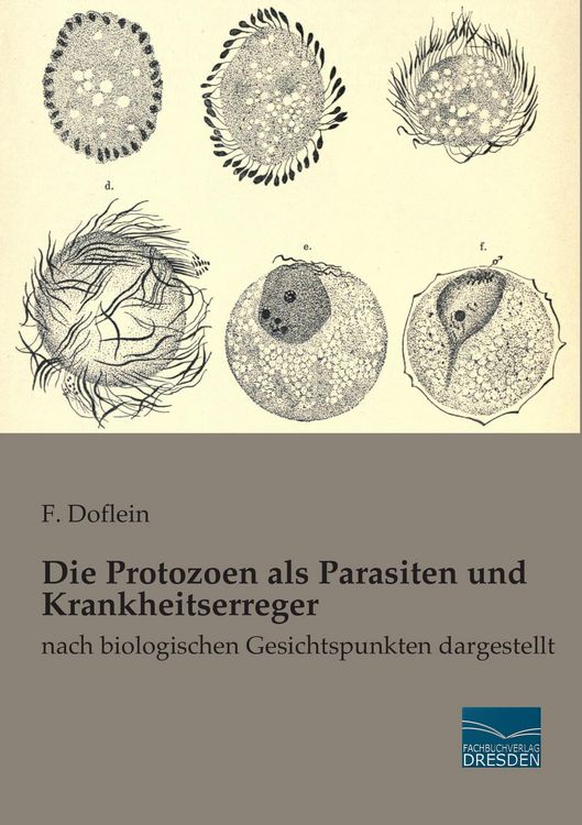 Produktbild: Die Protozoen als Parasiten und Krankheitserreger