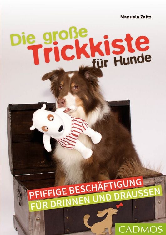 Produktbild: Die gro&szlig;e Trickkiste f&uuml;r Hunde