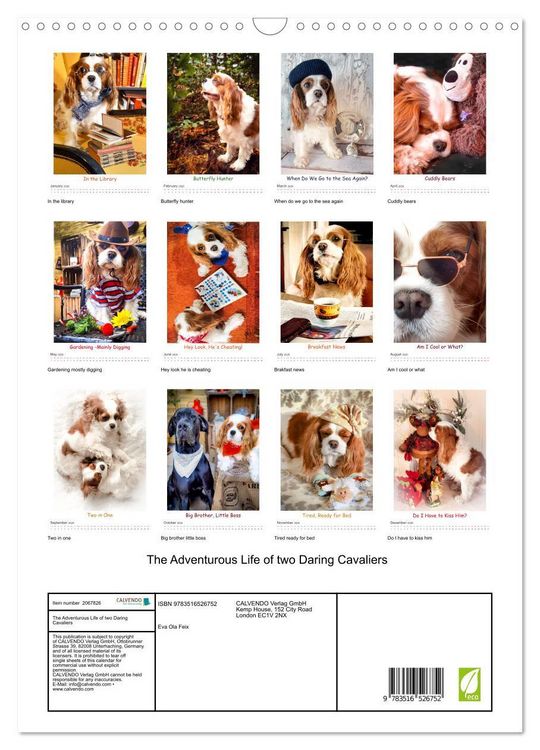 Produktbild: The Adventurous Life of two Daring Cavaliers (Wall Calendar 2026 DIN A3 portrait), CALVENDO 12 Month Wall Calendar