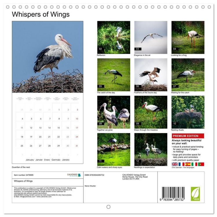 Produktbild: Whispers of Wings (Wall Calendar 2027 12 &times; 12 Inch) CALVENDO 12 Month Wall Calendar