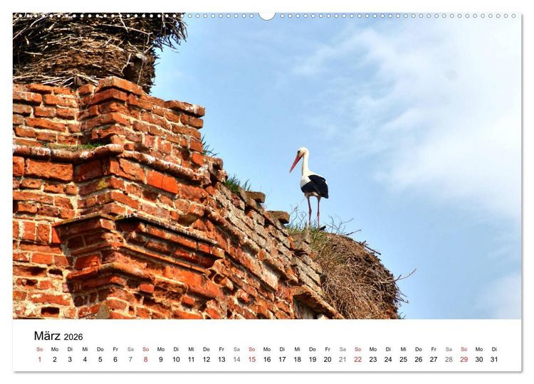 Produktbild: Elchniederung - Naturparadies in Ostpreu&szlig;en (hochwertiger Premium Wandkalender 2026 DIN A2 quer), Kunstdruck in Hochglanz