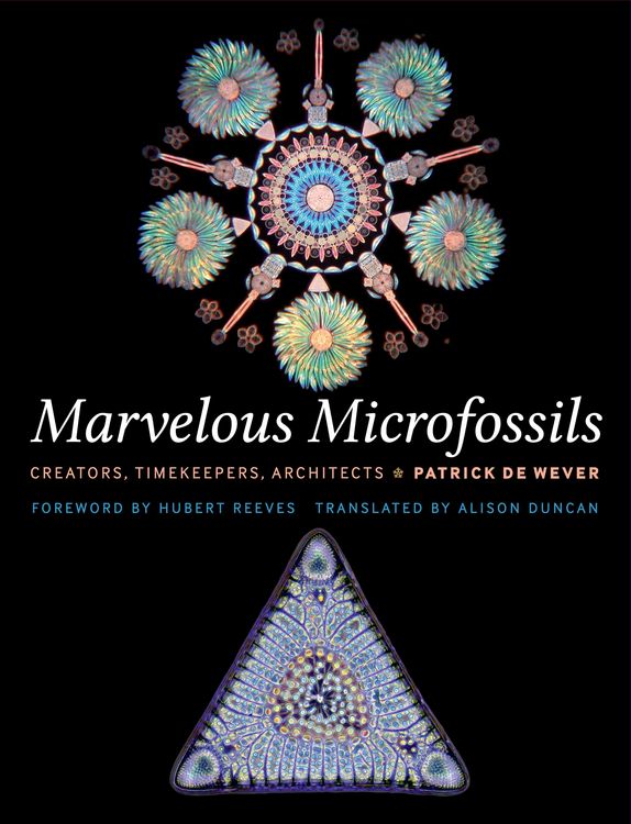 Produktbild: Marvelous Microfossils
