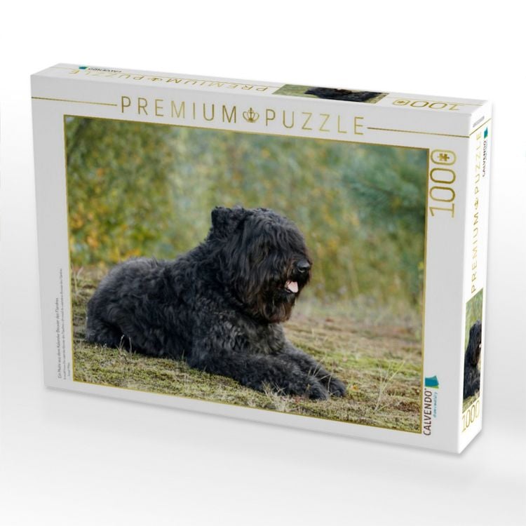 Produktbild: CALVENDO Puzzle Ein Motiv aus dem Kalender Bouvier des Flandres | 1000 Teile Lege-Gr&ouml;&szlig;e 64x48cm Foto-Puzzle f&uuml;r gl&uuml;ckliche Stunden