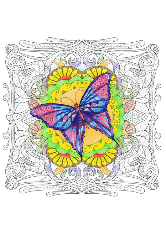 Produktbild: Colorful World - Im Fluss der Jahreszeiten