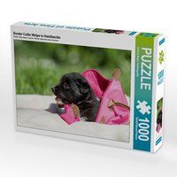 Produktbild: CALVENDO Puzzle Border Collie Welpe in Handtasche 1000 Teile Lege-Gr&ouml;&szlig;e 64 x 48 cm Foto-Puzzle Bild von Andrea Mayer Tierfotografie