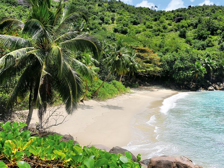 Produktbild: CALVENDO Puzzle Anse Major auf Mah&eacute; 1000 Teile Lege-Gr&ouml;&szlig;e 64 x 48 cm Foto-Puzzle Bild von J&uuml;rgen Feuerer
