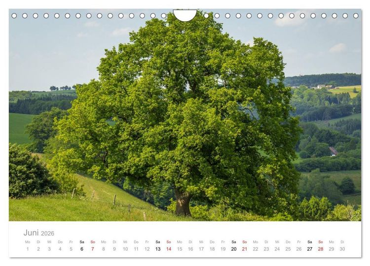 Produktbild: M&auml;rkisches Sauerland (Wandkalender 2026 DIN A4 quer), CALVENDO Monatskalender