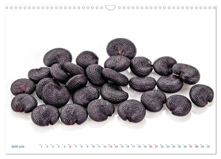 Produktbild: Wundersch&ouml;ne Kleinigkeiten (Wandkalender 2026 DIN A3 quer), CALVENDO Monatskalender