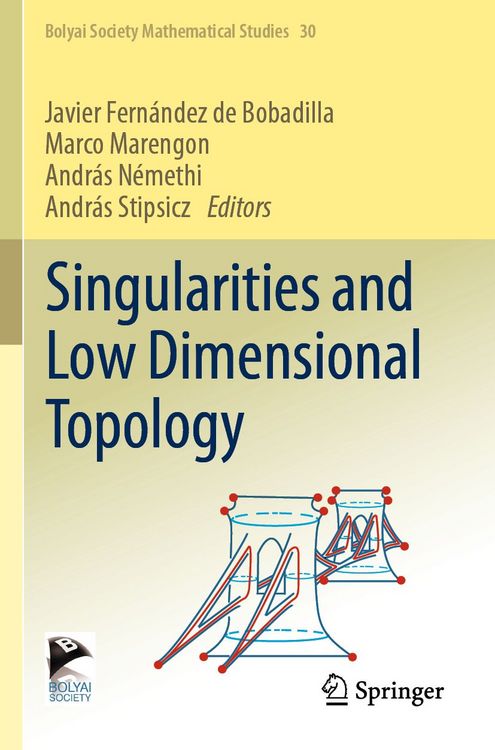 Produktbild: Singularities and Low Dimensional Topology