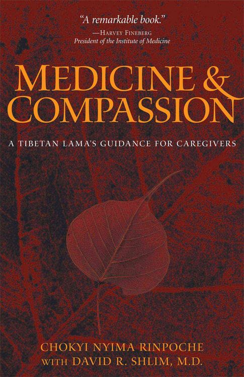 Produktbild: Medicine & Compassion: A Tibetan Lama's Guidance for Caregivers