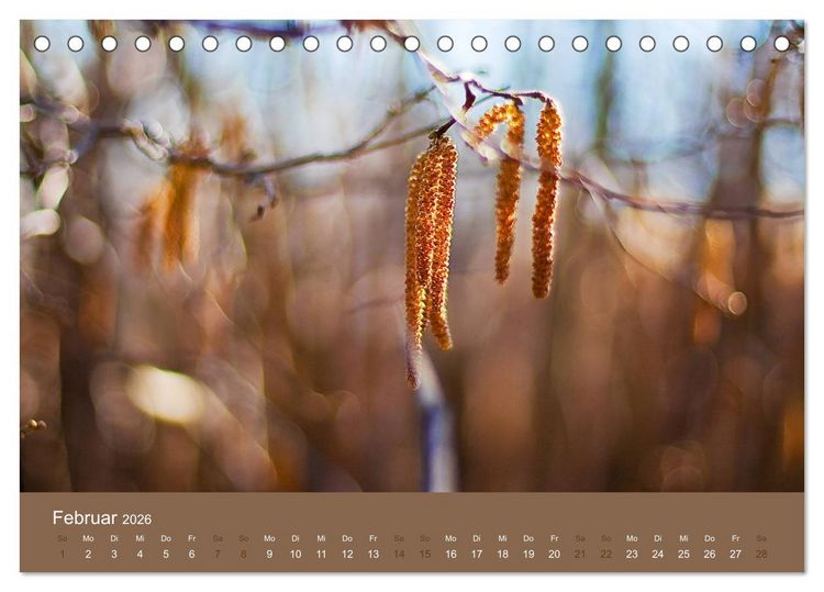 Produktbild: Farbwechsel - Die Farben der vier Jahreszeiten (Tischkalender 2026 DIN A5 quer), CALVENDO Monatskalender