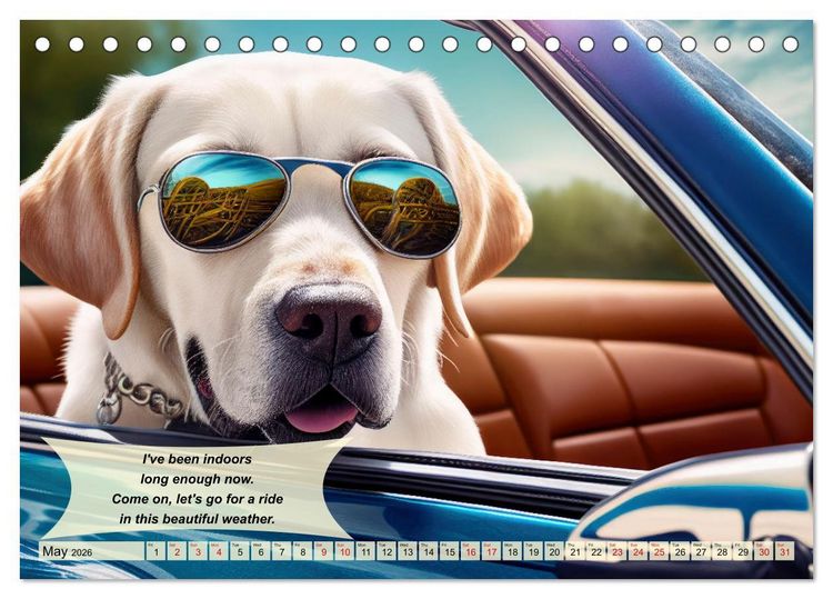 Produktbild: Great fun for Labrador lovers (Desk Calendar 2026 DIN A5 landscape), CALVENDO 12 Month DeskCalendar