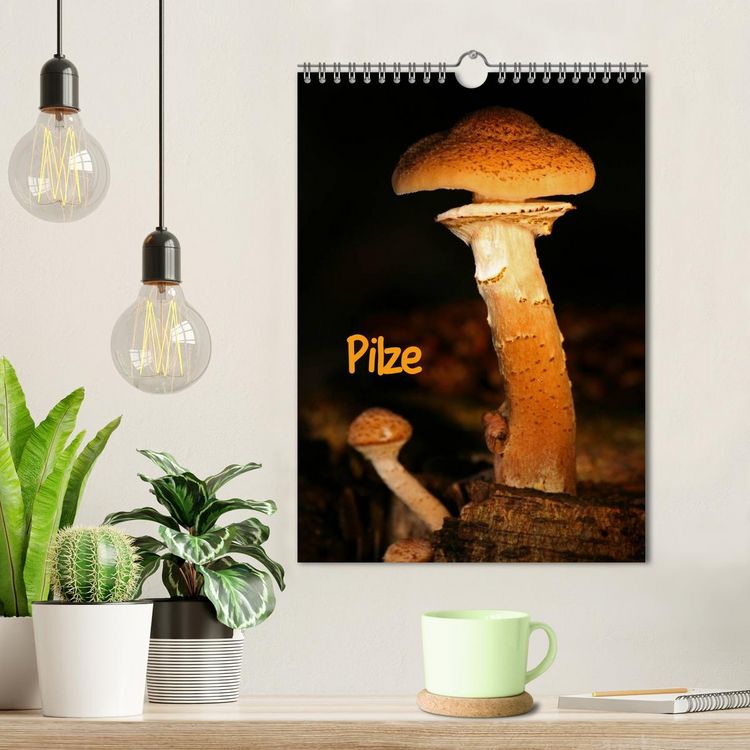 Produktbild: Pilze (Wandkalender 2026 DIN A4 hoch), CALVENDO Monatskalender