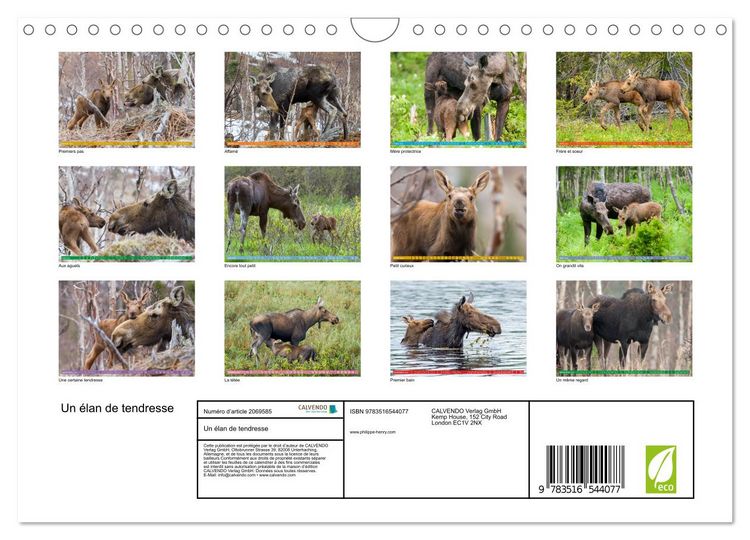 Produktbild: Un &eacute;lan de tendresse (Calendrier mural 2026 DIN A4 vertical), CALVENDO calendrier mensuel