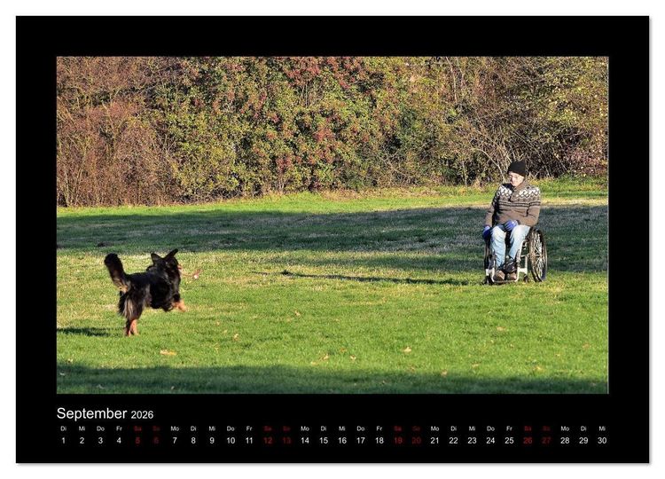 Produktbild: Der Hovawart... Dein Freund f&uuml;rs Leben ! (Wandkalender 2026 DIN A4 quer), CALVENDO Monatskalender