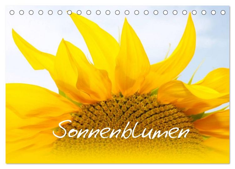 Produktbild: Sonnenblumen - die Blumen der Lebensfreude (Tischkalender 2026 DIN A5 quer), CALVENDO Monatskalender