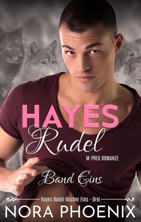 Produktbild: Hayes Rudel Band Eins: Hayes Rudel B&uuml;cher Eins - Drei