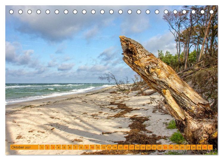 Produktbild: Wilder Dar&szlig;er Weststrand (Tischkalender 2027 DIN A5 quer), CALVENDO Monatskalender