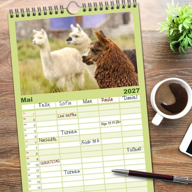 Produktbild: Familienplaner 2027 - Unter Lamas und Alpakas mit 5 Spalten (Wandkalender, 21 x 45 cm) CALVENDO