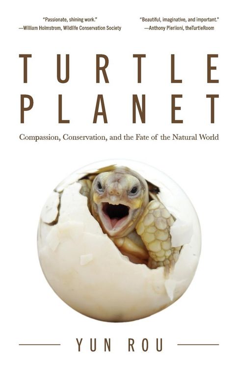 Produktbild: Turtle Planet