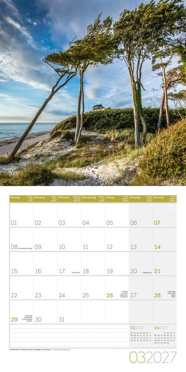 Produktbild: B&auml;ume Kalender 2027 - 30x30 - Art12
