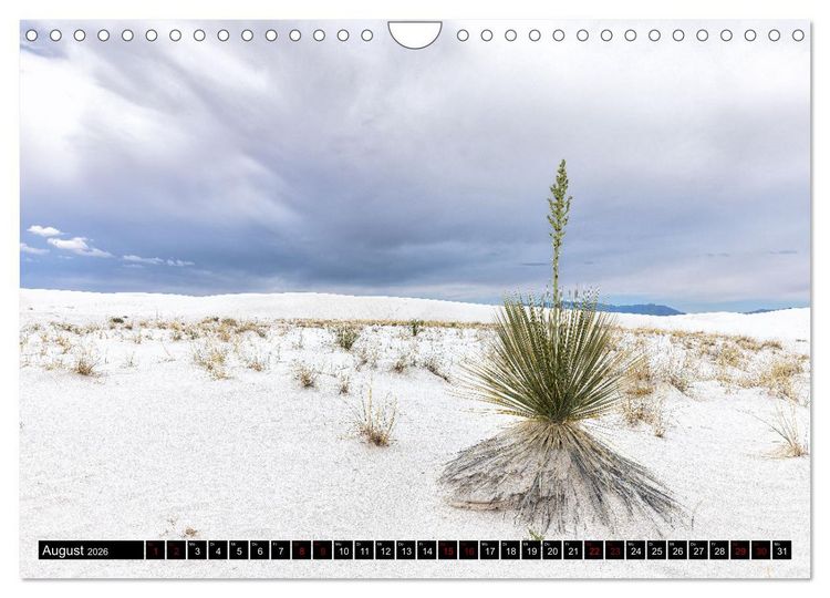 Produktbild: Wei&szlig;e Wunderwelten - White Sands National Monument (Wandkalender 2026 DIN A4 quer), CALVENDO Monatskalender