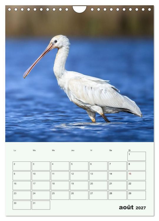 Produktbild: Voyage ornithologique (Calendrier mural 2027 DIN A4 horizontal), CALVENDO calendrier mensuel