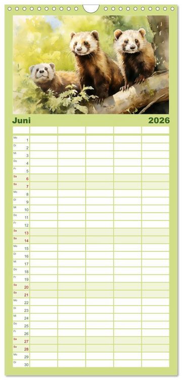 Produktbild: Familienplaner 2026 - Zw&ouml;lf Monate im Wald mit 5 Spalten (Wandkalender, 21 x 45 cm) CALVENDO