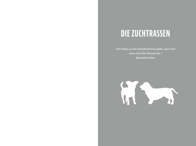 Produktbild: Unn&uuml;tzes Hundewissen