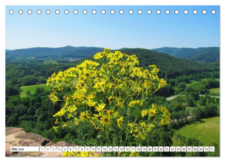 Produktbild: S&uuml;dliche Weinstra&szlig;e und S&uuml;dwestpfalz (Tischkalender 2026 DIN A5 quer), CALVENDO Monatskalender