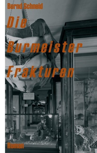 Produktbild: Die Burmeister Frakturen