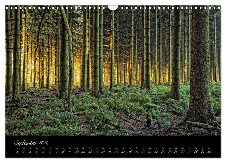 Produktbild: Hochmoor Hohes Venn (Wandkalender 2026 DIN A3 quer), CALVENDO Monatskalender