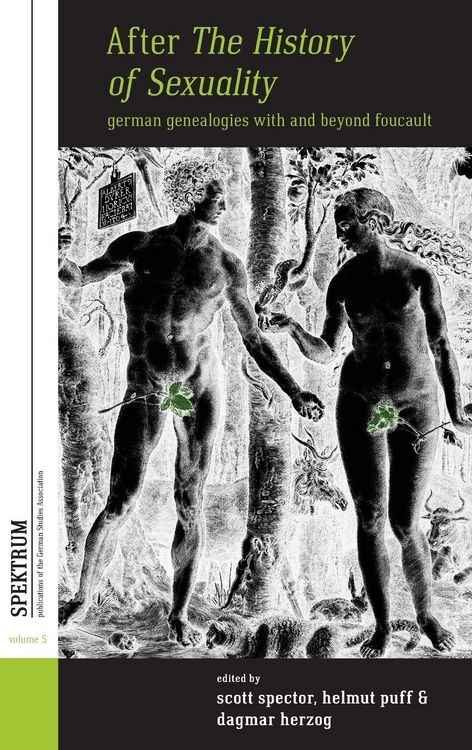 Produktbild: After The History of Sexuality