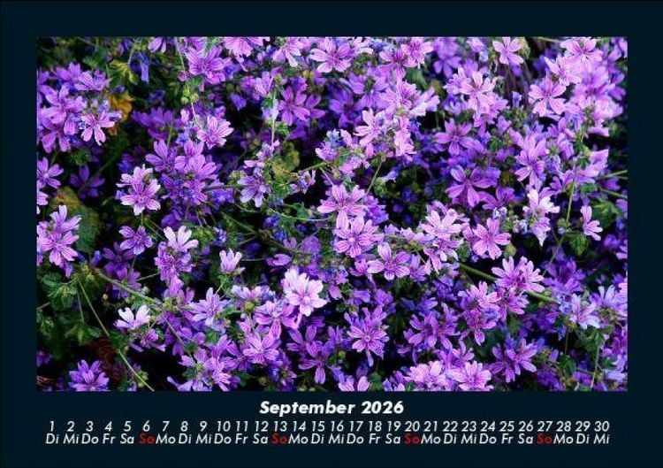 Produktbild: Blumenzauber 2026 Fotokalender DIN A5