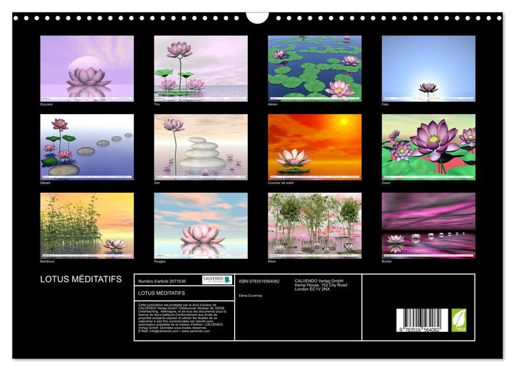 Produktbild: LOTUS M&Eacute;DITATIFS (Calendrier mural 2026 DIN A3 vertical), CALVENDO calendrier mensuel