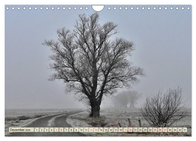 Produktbild: Landschaft an der W&uuml;mme (Wandkalender 2026 DIN A4 quer), CALVENDO Monatskalender