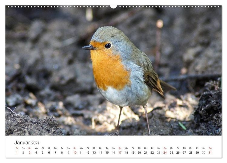 Produktbild: Paradies Naturgarten (Wandkalender 2027 DIN A2 quer), CALVENDO Monatskalender