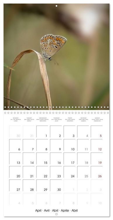 Produktbild: Blt, S: Esp&egrave;ces de Nouvelle Aquitaine (Calendrier mural carr