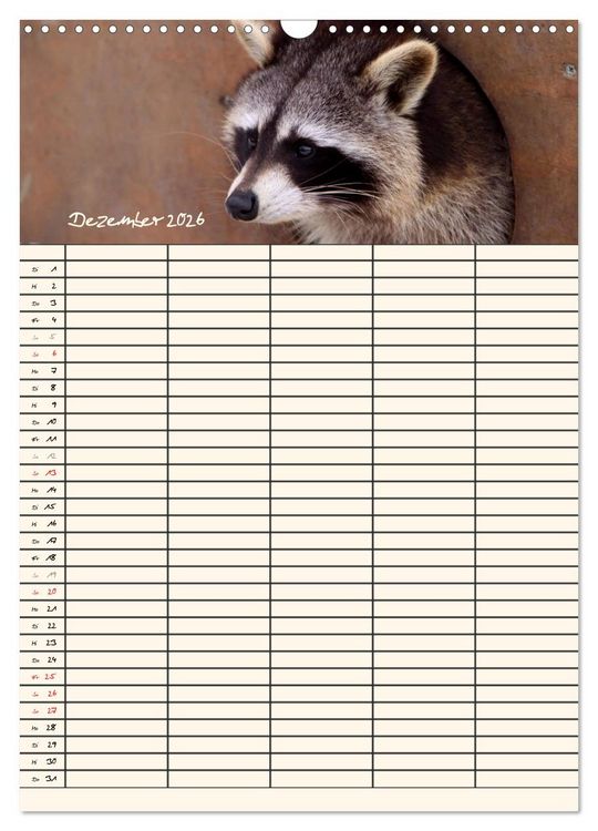 Produktbild: Waschb&auml;ren Familienplaner (Wandkalender 2026 DIN A3 hoch), CALVENDO Monatskalender