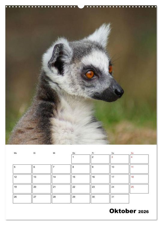Produktbild: Katta Terminplaner (hochwertiger Premium Wandkalender 2026 DIN A2 hoch), Kunstdruck in Hochglanz