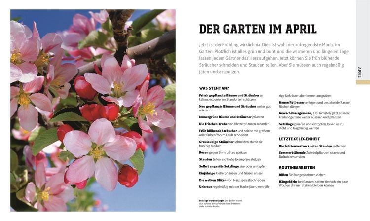 Produktbild: Das Gartenjahr