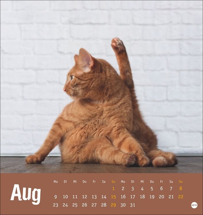 Produktbild: Tierisch entspannte Katzen Postkartenkalender 2027