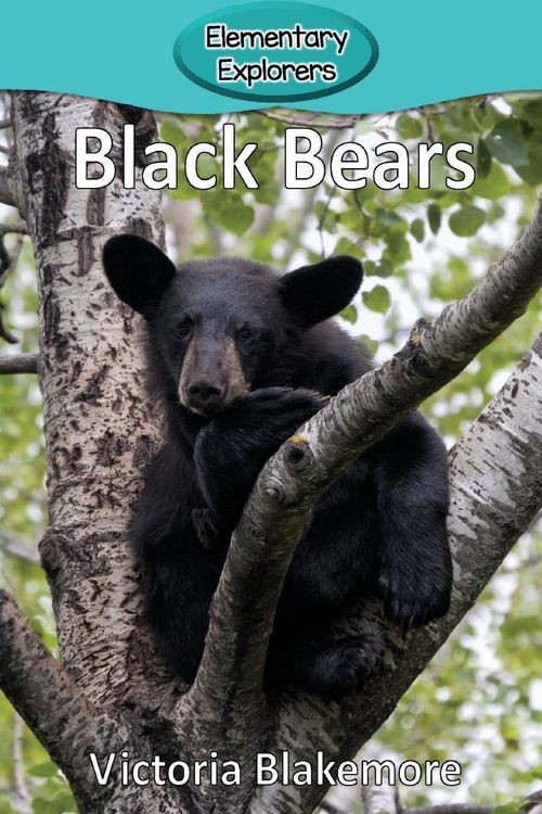 Produktbild: Black Bears