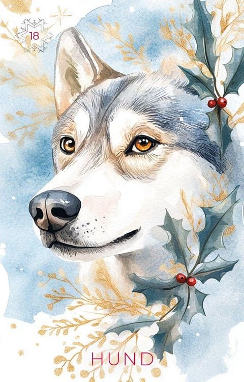 Produktbild: Frosted Dreams Lenormand - 38 farbige Lenormand-Karten und ein 68-seitiges Booklet in Faltschachtel