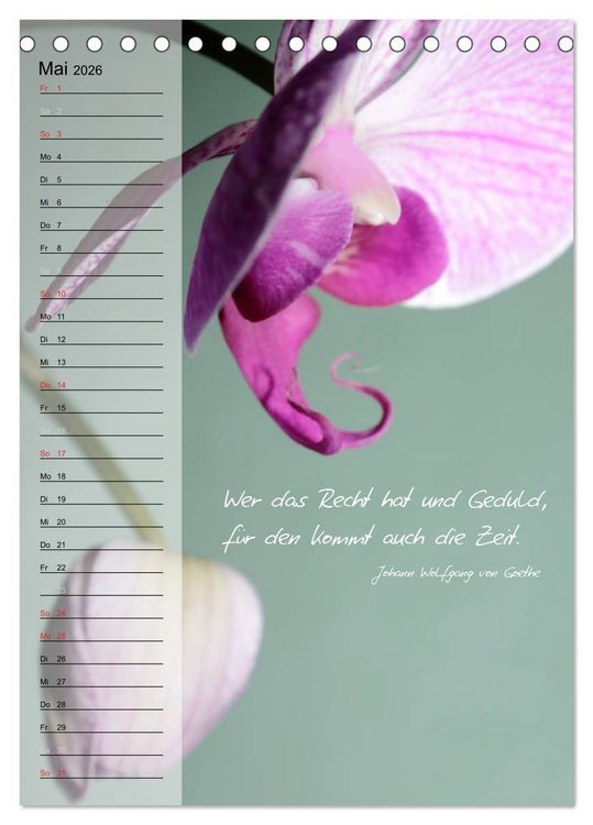 Produktbild: Blumen & Zitate / Geburtstagskalender (Tischkalender 2026 DIN A5 hoch), CALVENDO Monatskalender