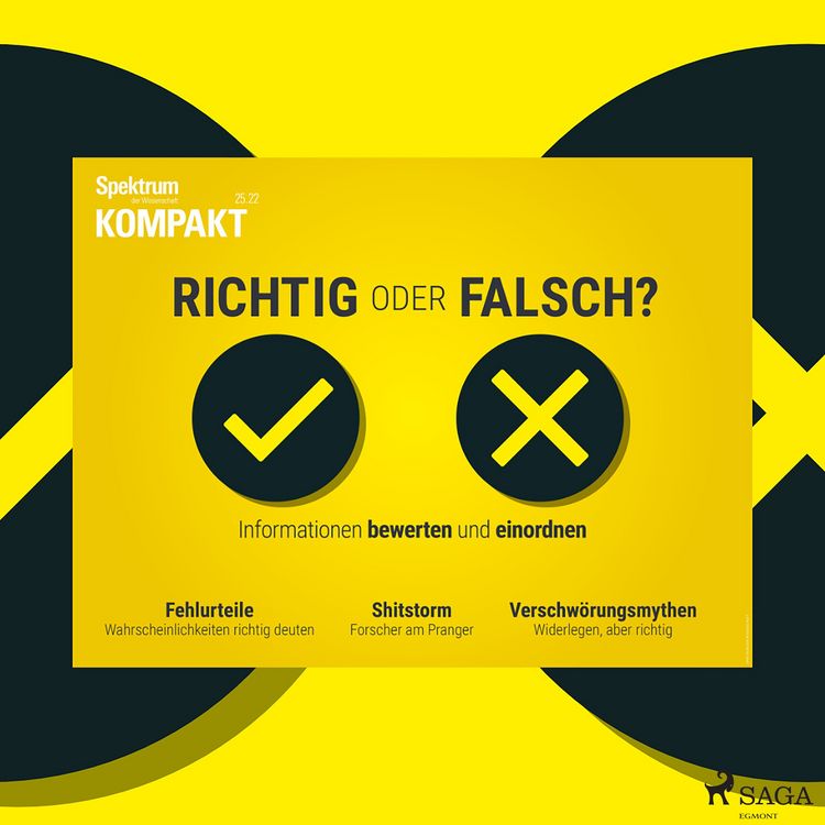 Produktbild: Spektrum Kompakt: Richtig oder falsch? Informationen bewerten und einordnen