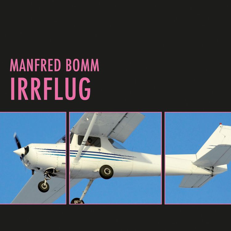 Produktbild: Irrflug (Ungek&uuml;rzt)